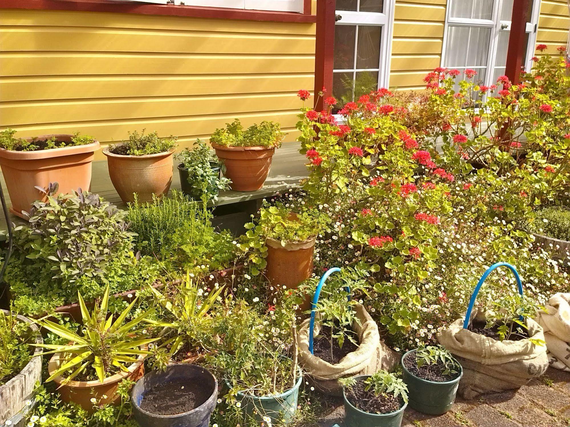 Bazil'S Backpackers Bbh Hostel & Surf School Westport Eksteriør billede